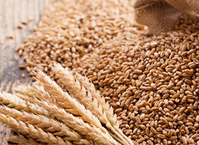 Wheat