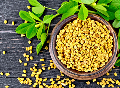 Fenugreek Seeds